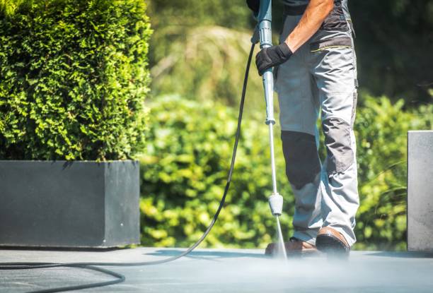 Best Building Exterior Pressure Washing in Orange Grove, TX