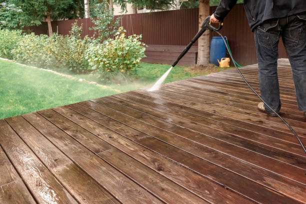 Best Soft Washing for Delicate Surfaces in Orange Grove, TX