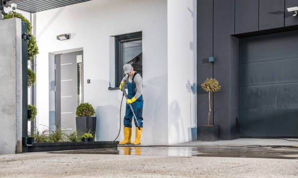 Best Graffiti Removal Services in Orange Grove, TX